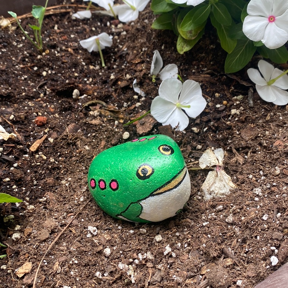 Hand painted Frog rock 3” x3”